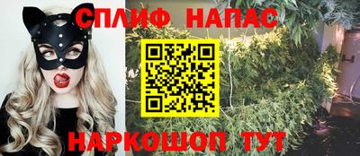 прущие грибы Рязань