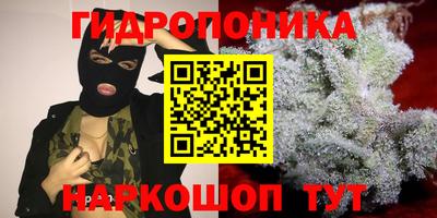прущие крисы Рузаевка