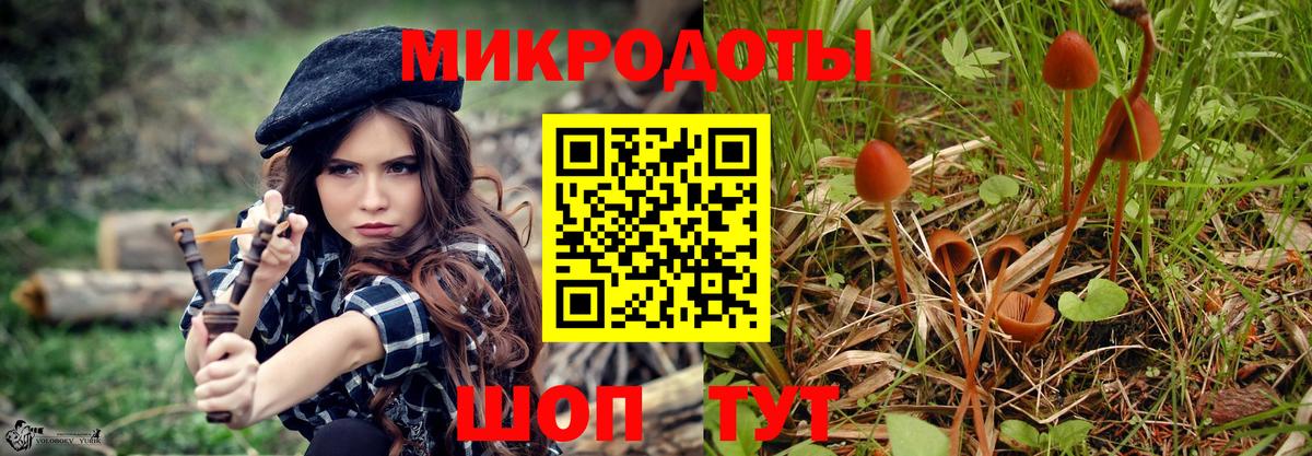 Саянск  Псилоцибиновые грибы мухоморы  Вход с VPN 
