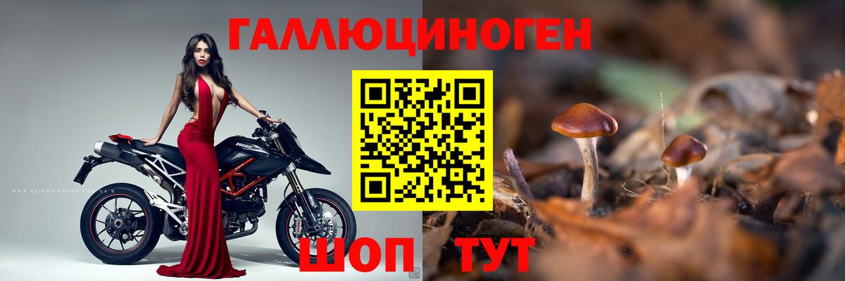 Псилоцибиновые грибы мицелий Саянск