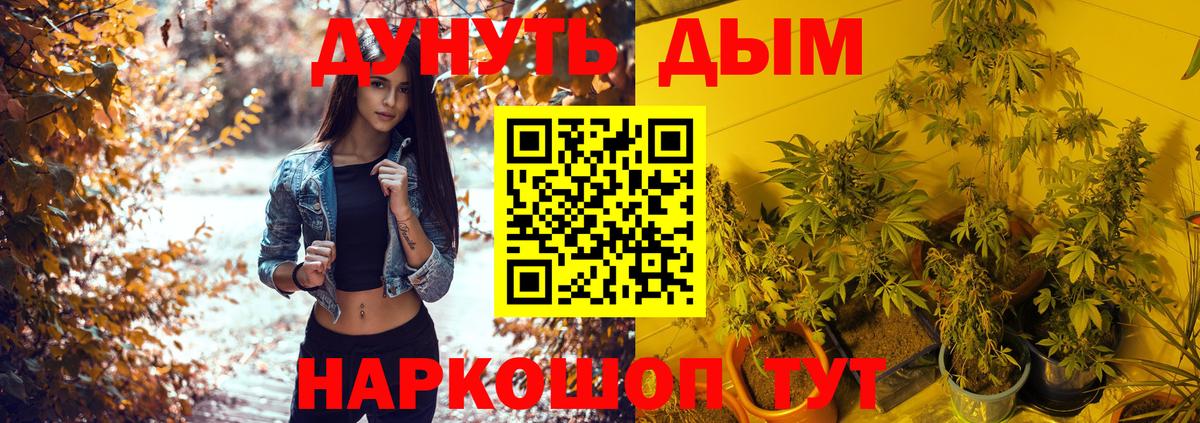 Саянск  Канабис VHQ  Конопля план  Вход с VPN  МАРИХУАНА Bruce Banner  Каннабис конопля 
